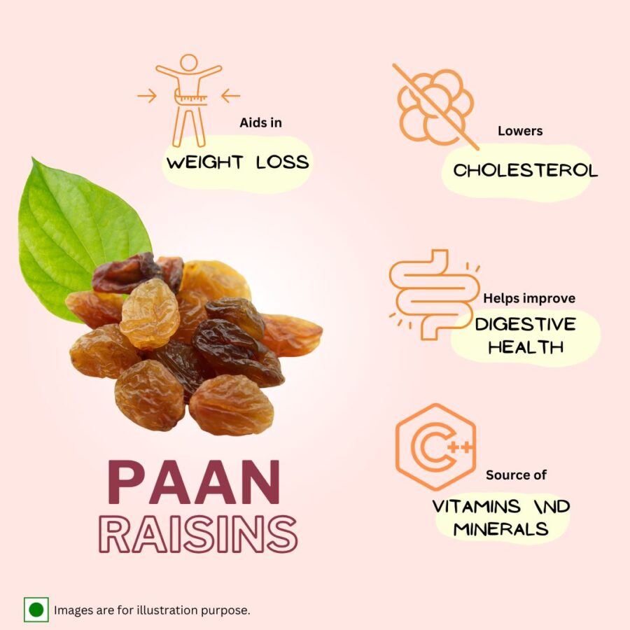 Paan Raisins Info